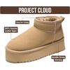 image:imageProject Cloud 100 Genuine Leather Platform Ankle Boots for WomenBone Suede