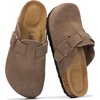 Fossil Suede